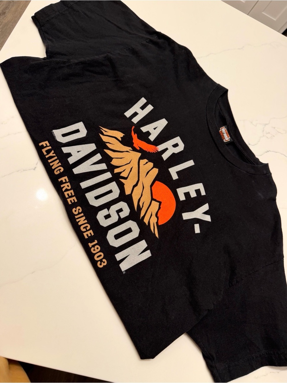 Harley-Davidson Black Tee with Orange and Tan Sunset Graphic
